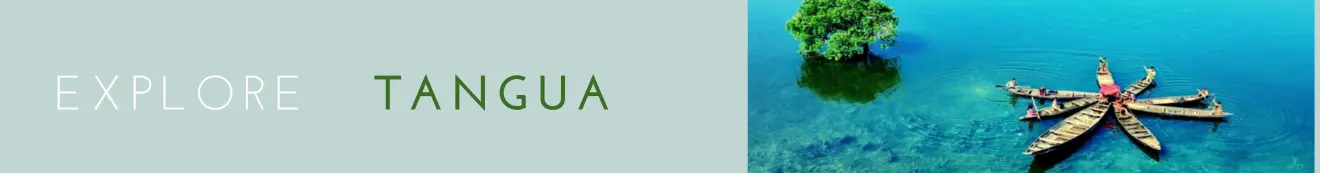 Tanguar Hawor Package tour