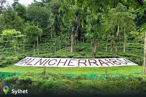 Malnichora Tea Garden Sylhet