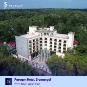 Paragon
